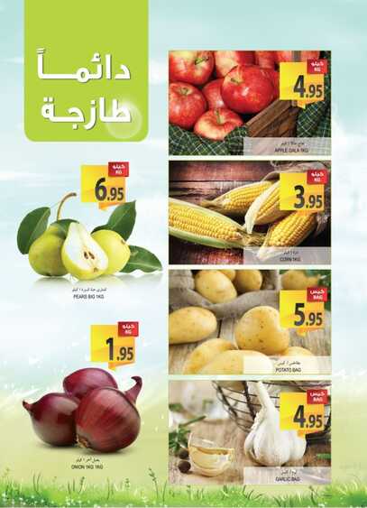 ُEast masraa offers 26-11-2015