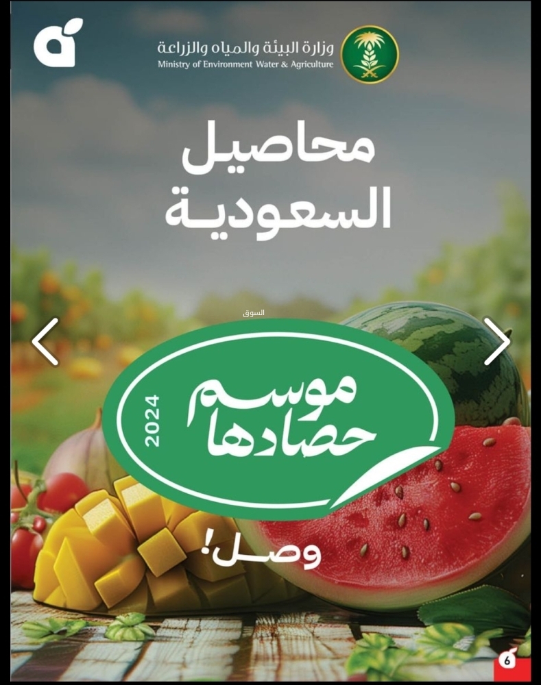 عروض هايبر بنده بصفحة واحدة الأسبوعية 4 سبتمبر 2024 الموافق 1 ربيع الاول 1446 عروض العودة للمدارس