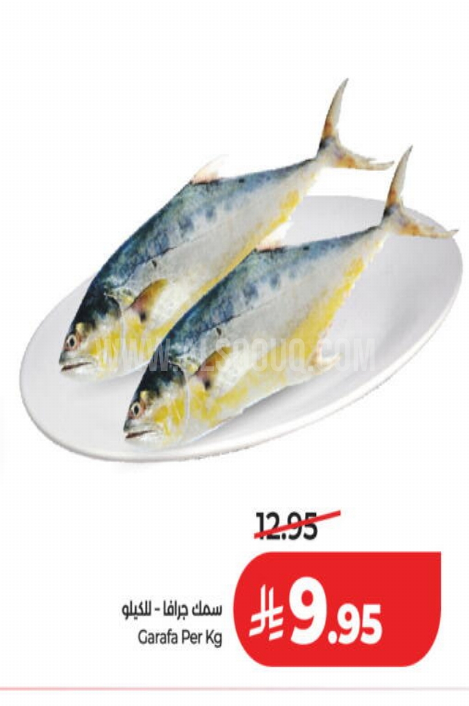 عروض الأسماك