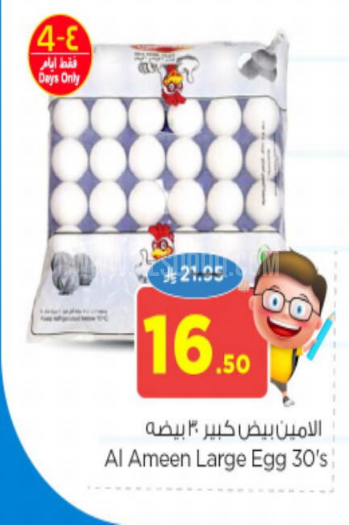 عروض البيض