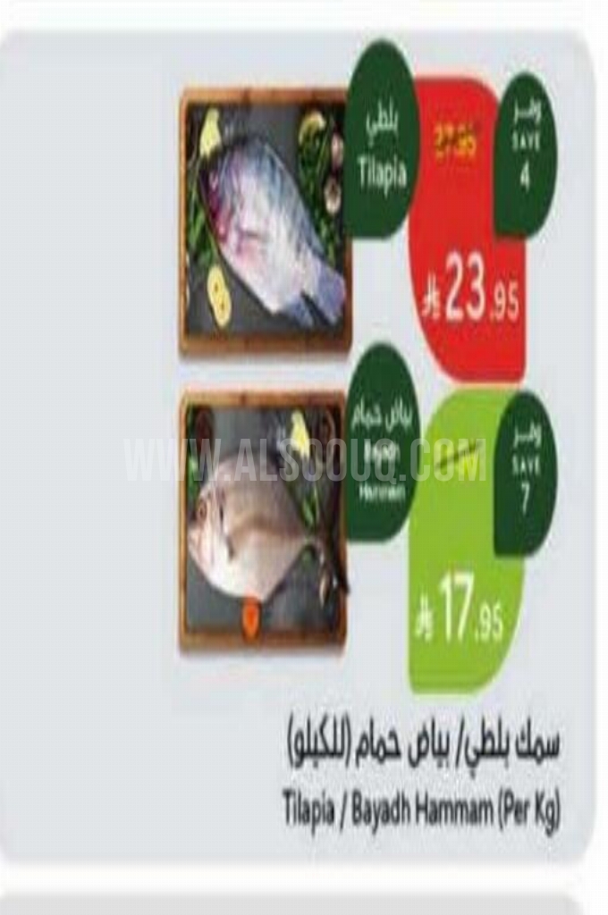 عروض الأسماك 