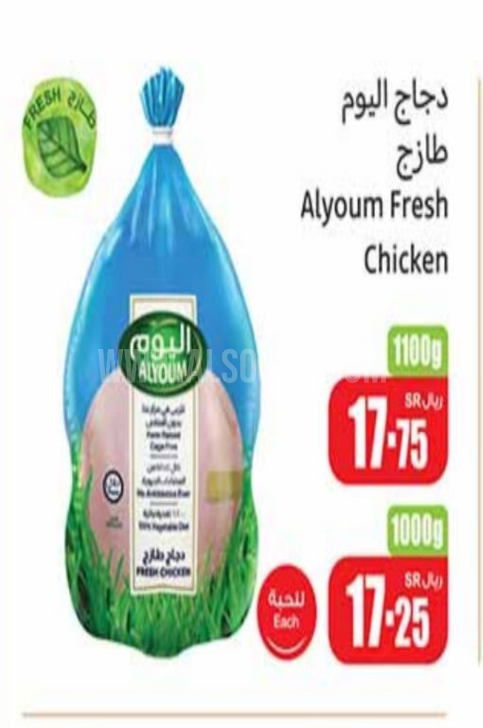 عروض الدجاج عروض الدجاج