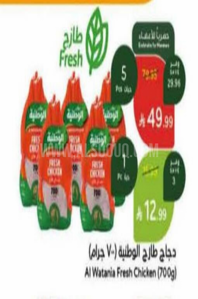 عروض الدجاج