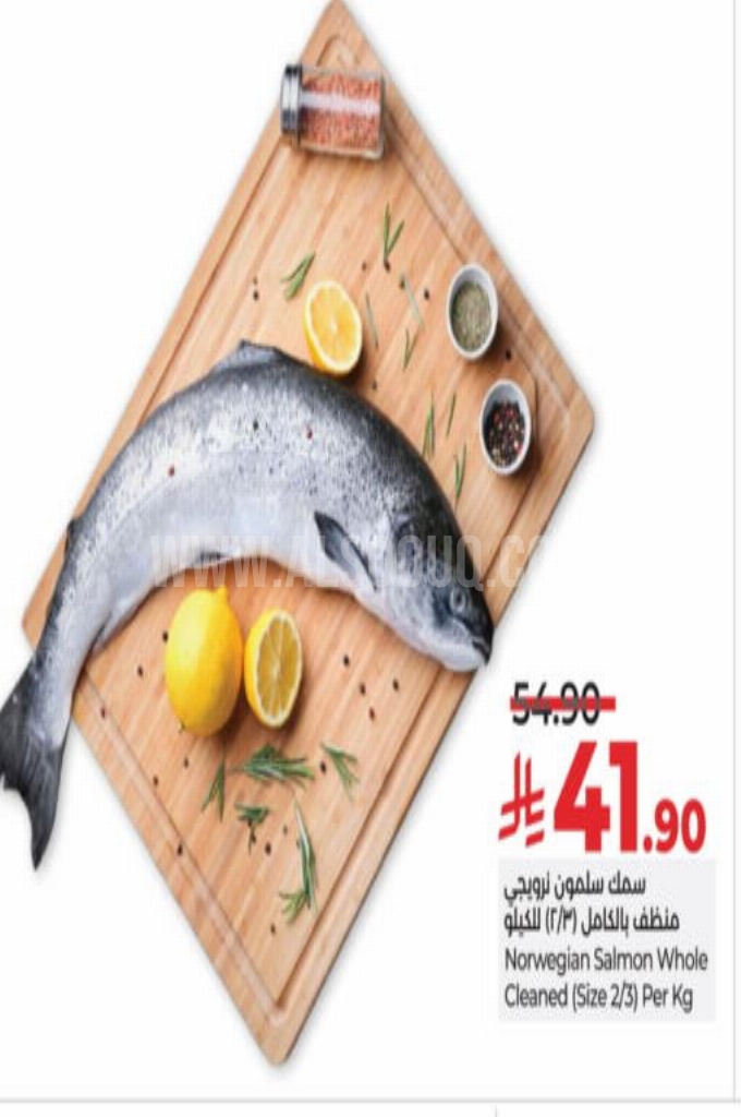 عروض الأسماك 