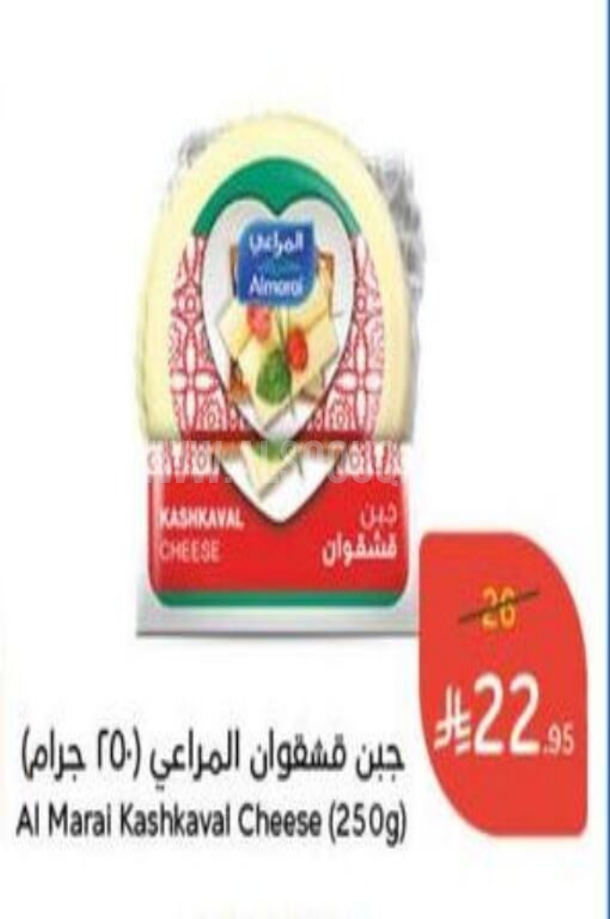 عروض الأجبان والألبان عروض الأجبان والألبان