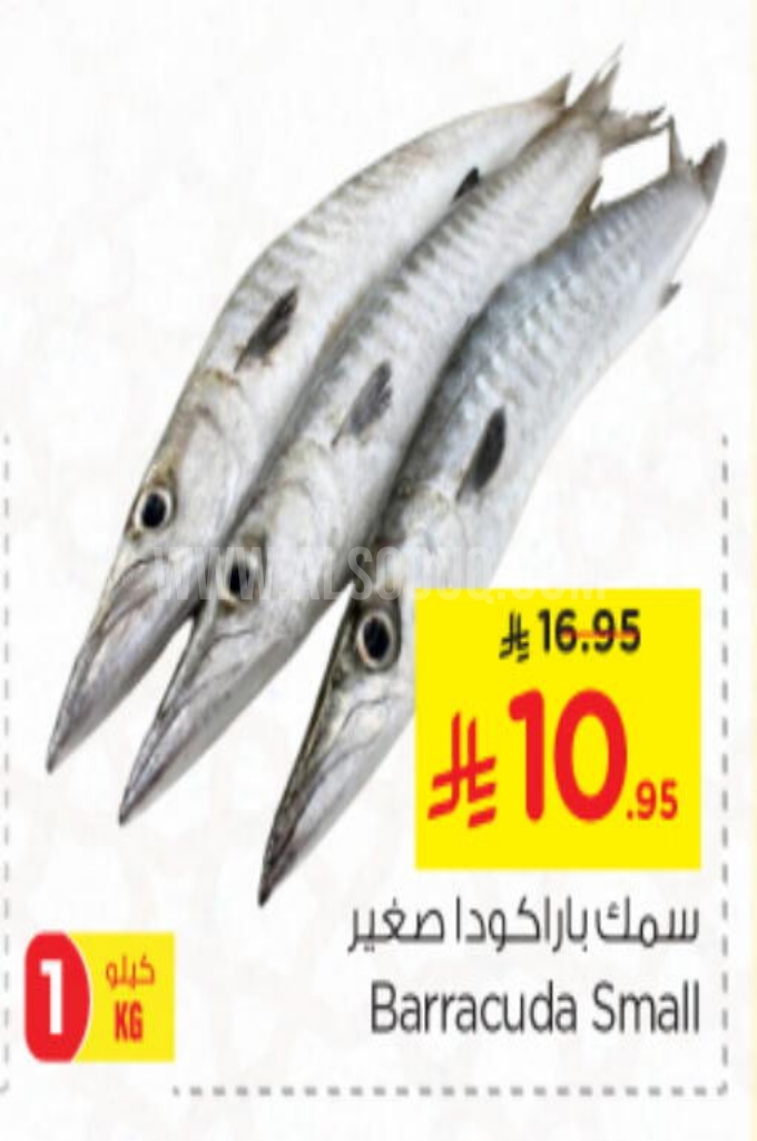 عروض الأسماك