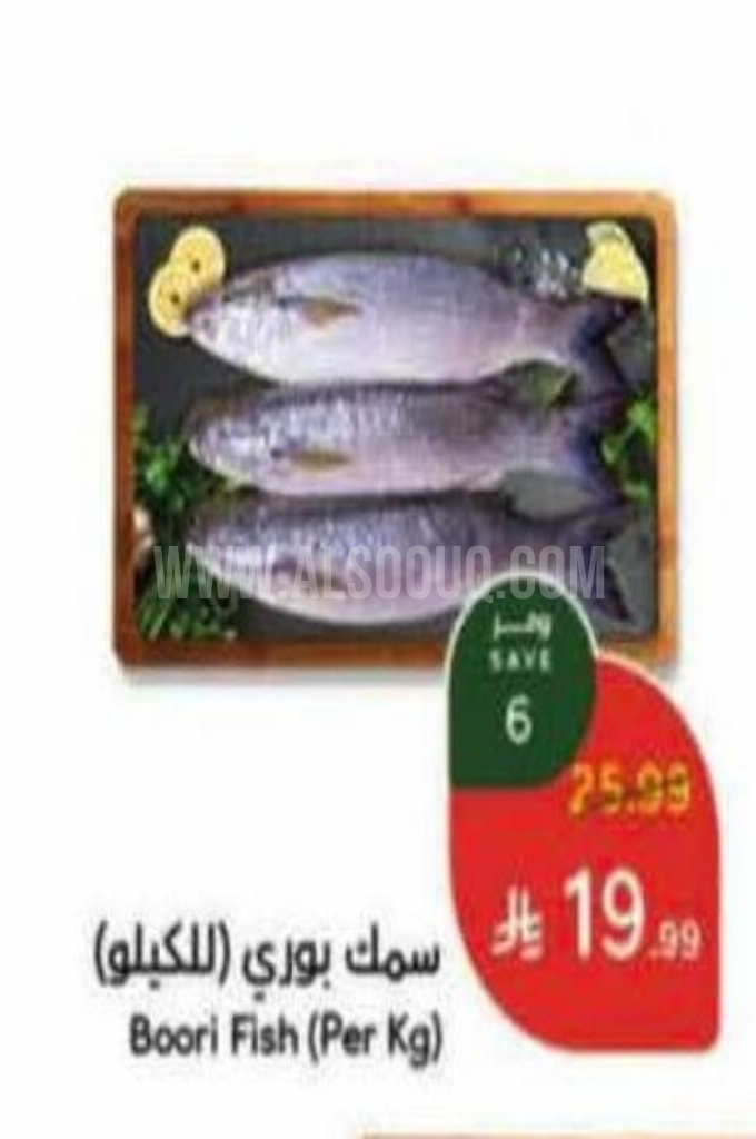 عروض الأسماك