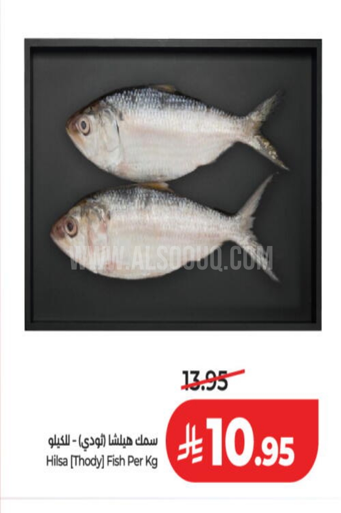 عروض الأسماك