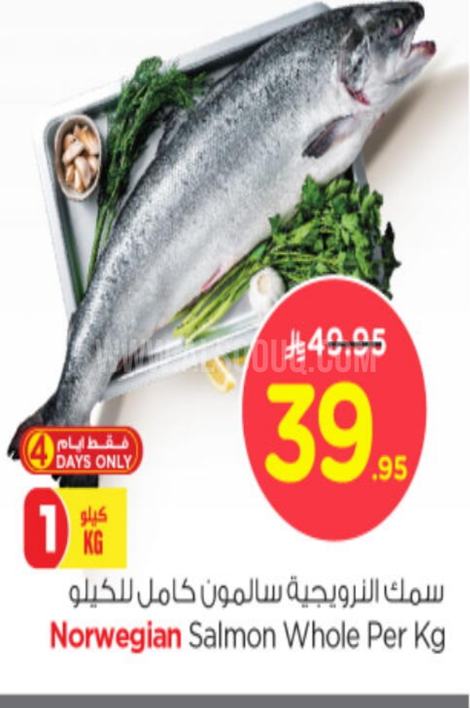 عروض الأسماك