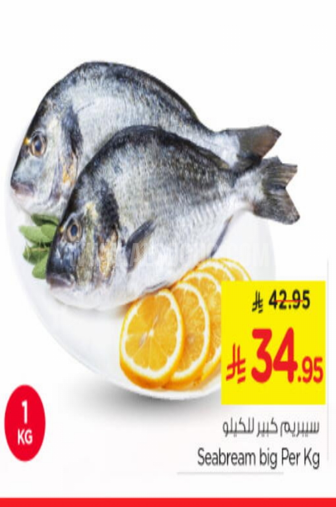 عروض الأسماك