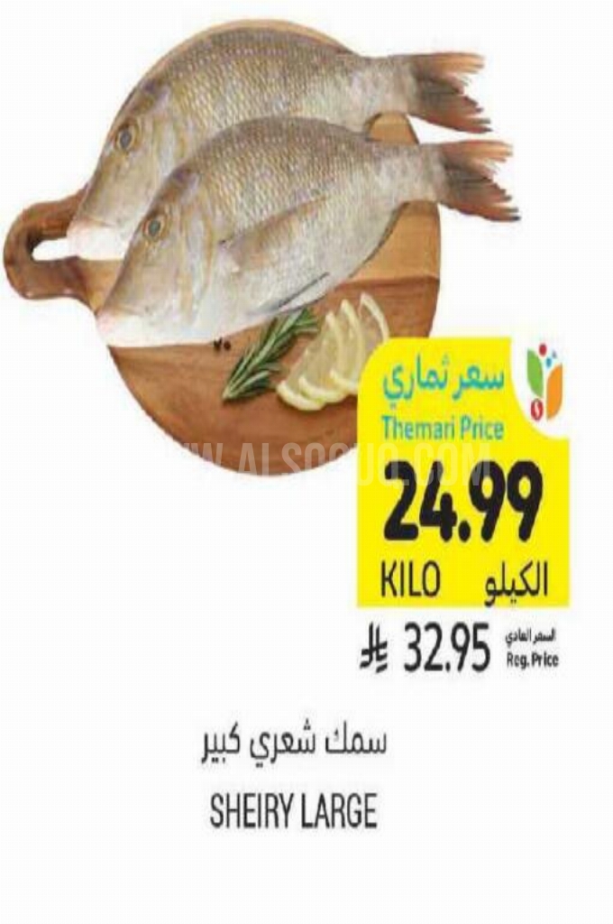 عروض الأسماك