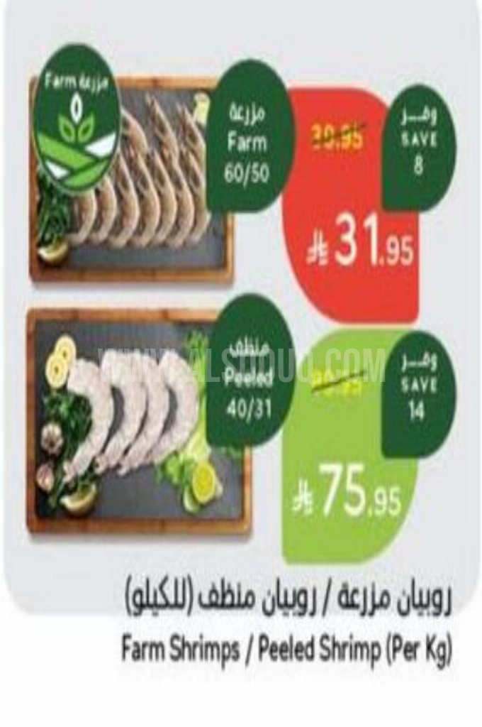 عروض الأسماك