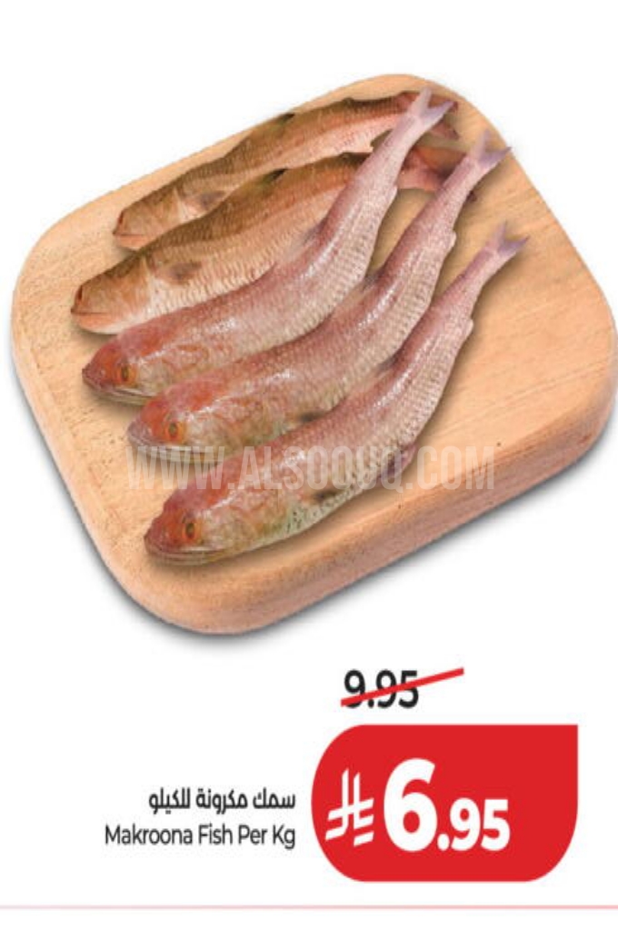 عروض الأسماك