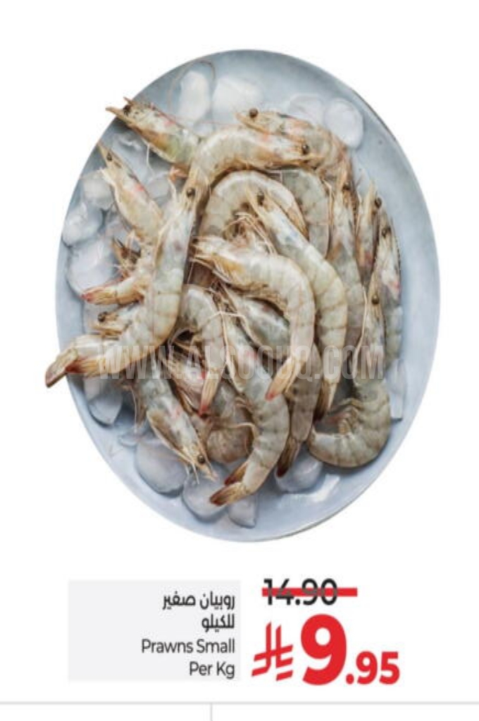 عروض الأسماك 