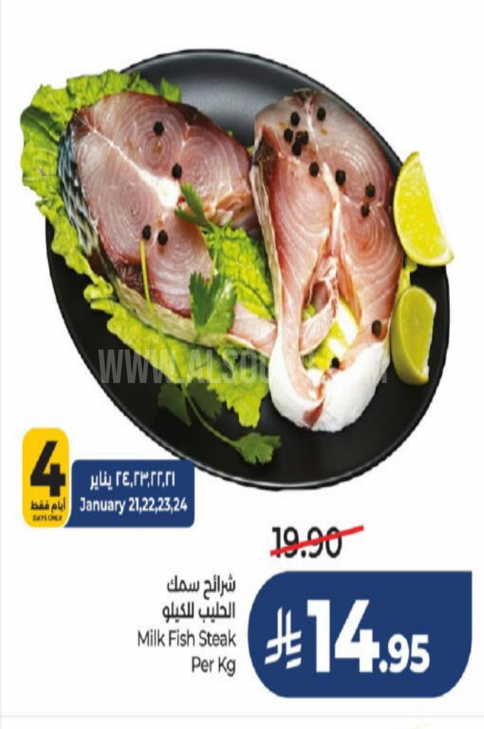 عروض الأسماك