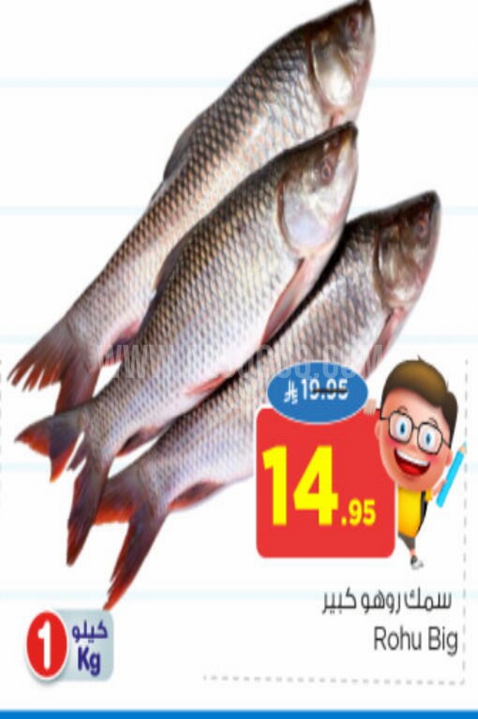 عروض الأسماك