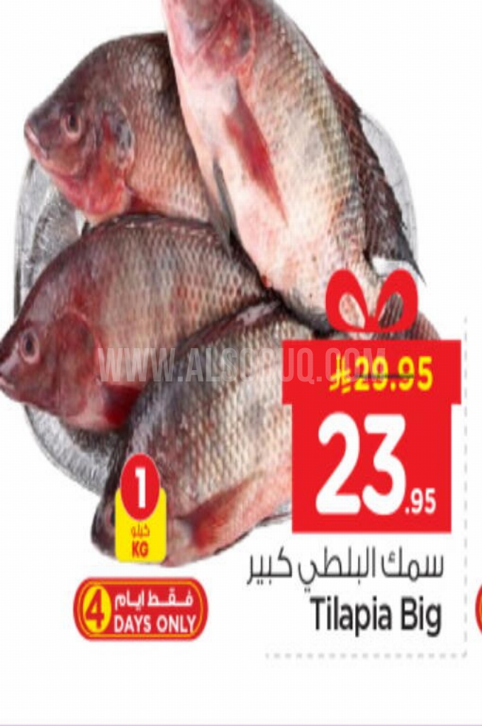 عروض الأسماك