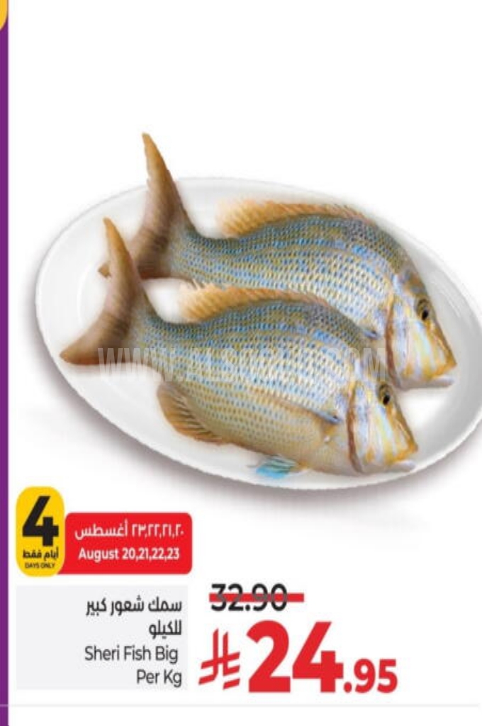 عروض الأسماك