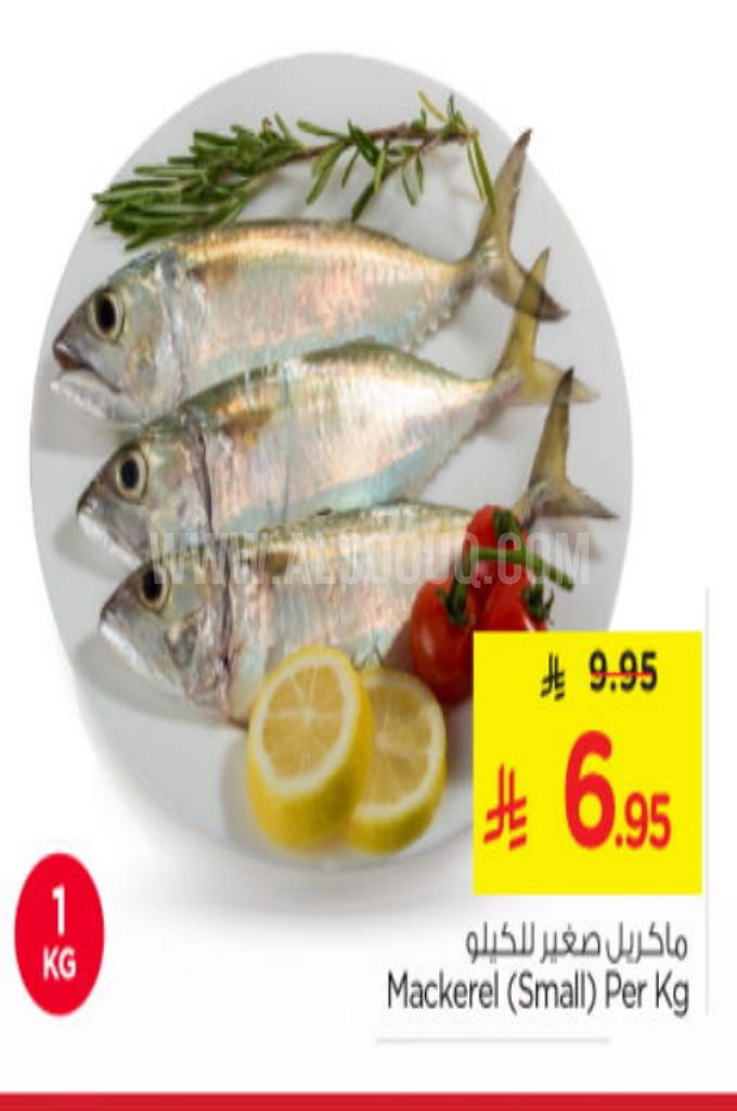 عروض الأسماك