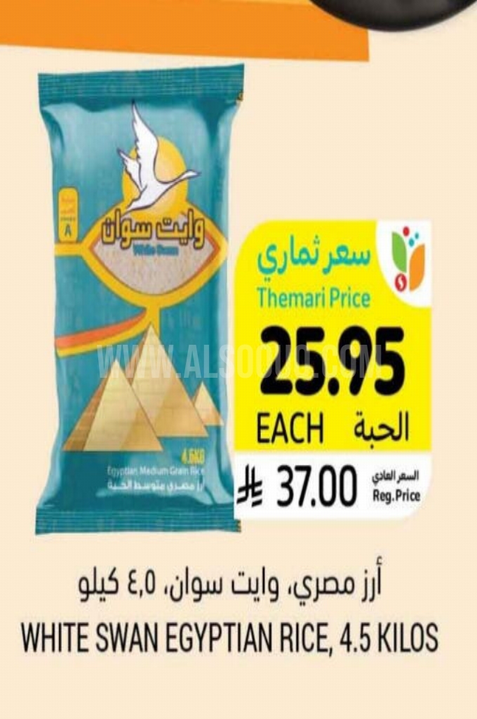 عروض الأرز