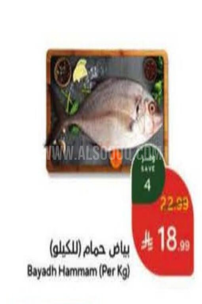 عروض الأسماك