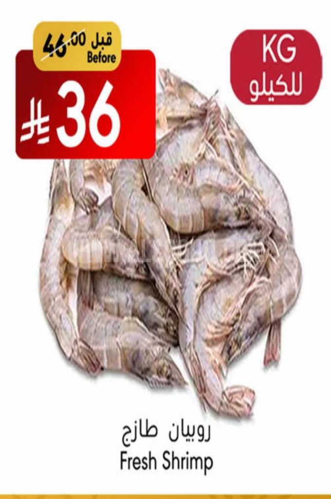 عروض الأسماك