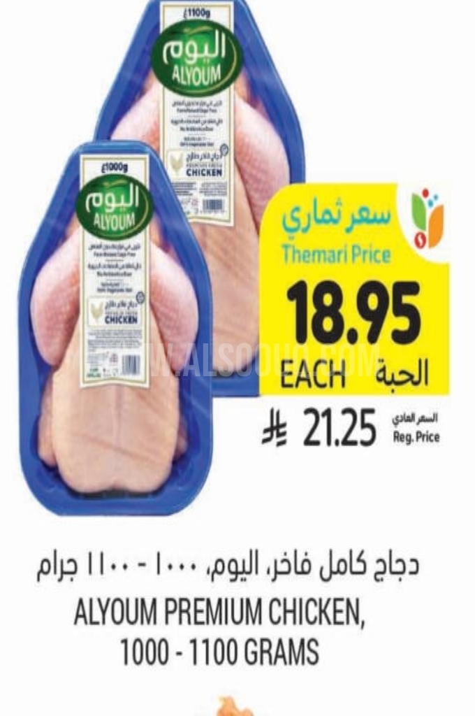عروض الدجاج