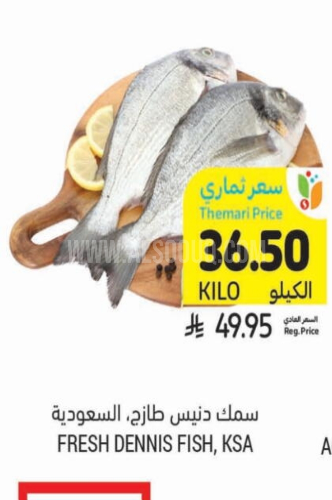 عروض الأسماك 