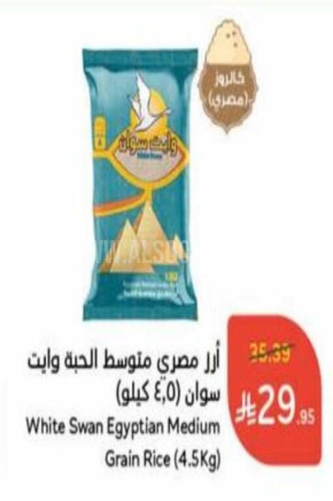 عروض الأرز عروض الأرز