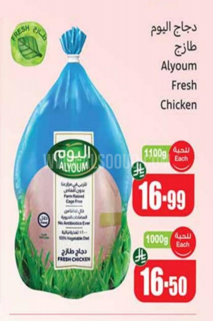 عروض الدجاج