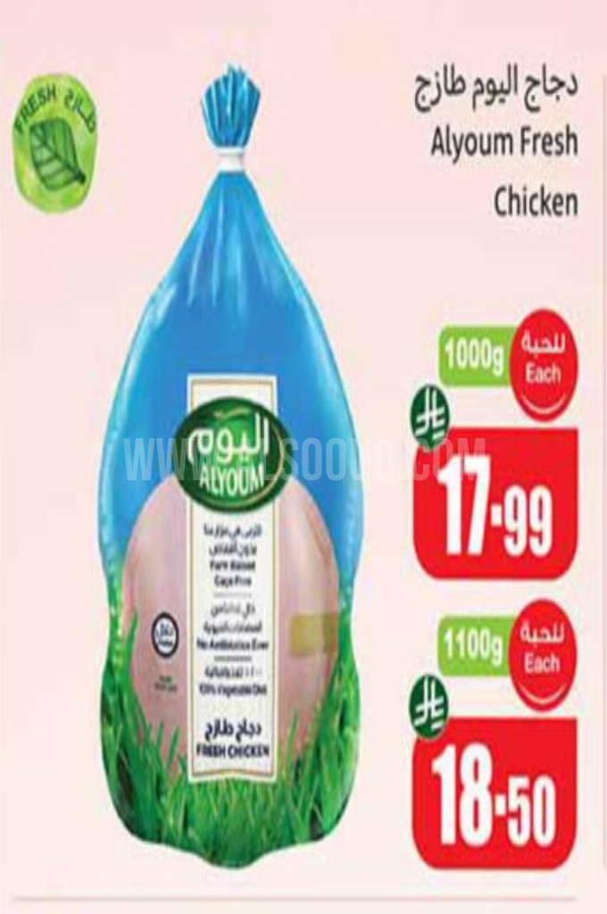 عروض الدجاج