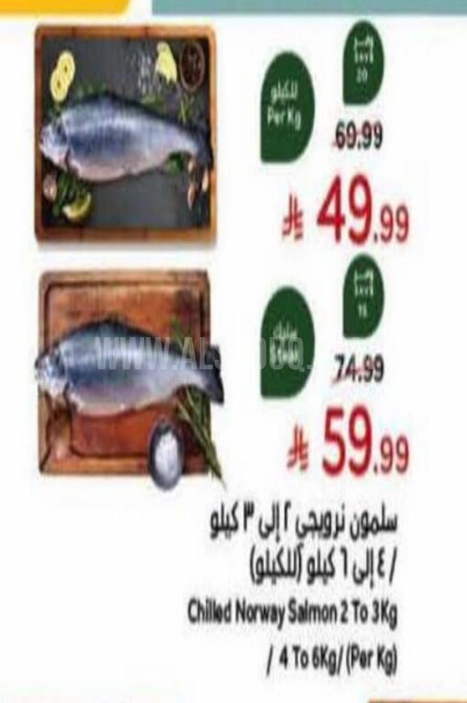 عروض الأسماك