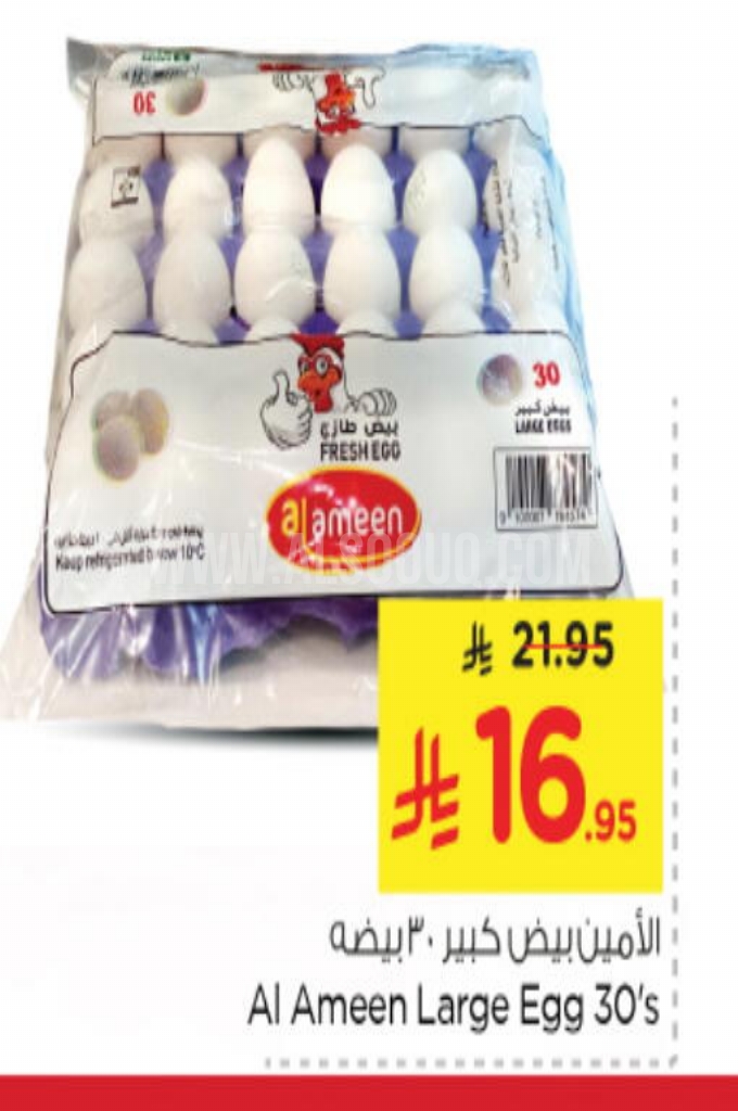 عروض البيض عروض البيض