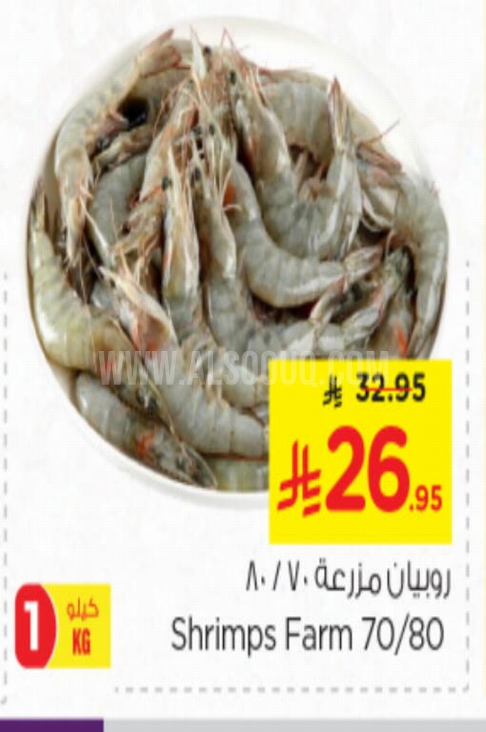 عروض الأسماك