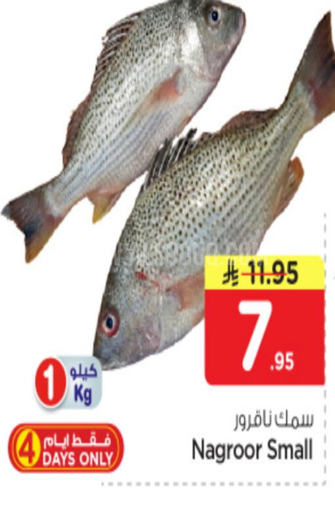 عروض الأسماك