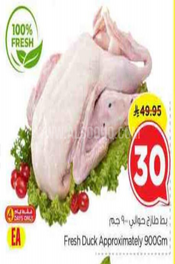 عروض الدجاج
