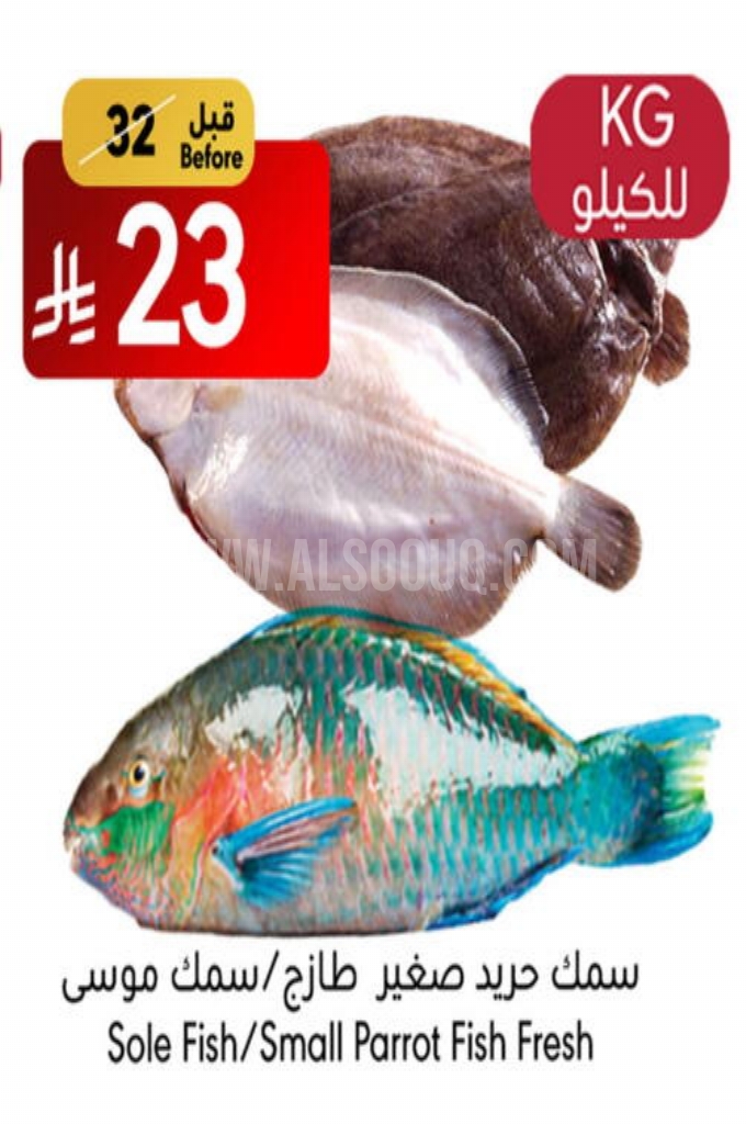 عروض الأسماك