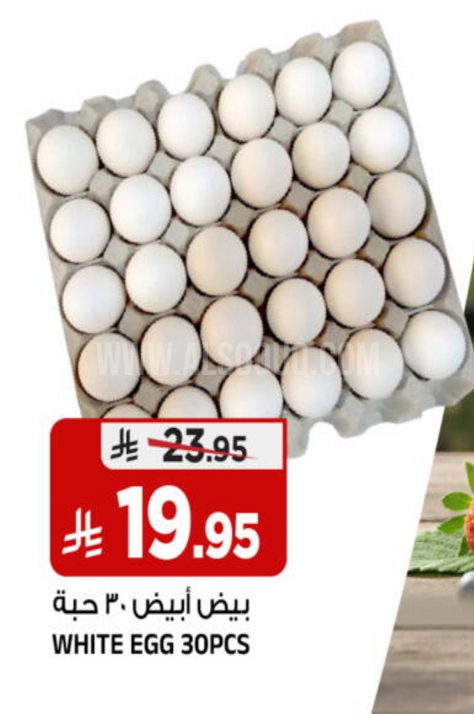 عروض الأجبان والألبان 