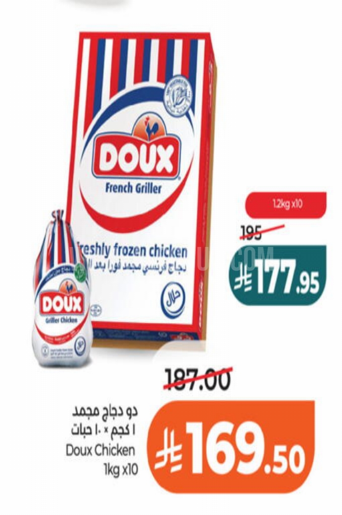 عروض الدجاج