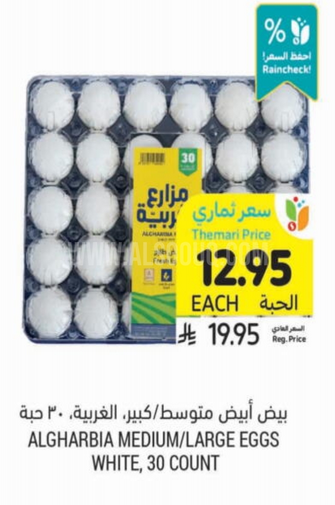 عروض البيض عروض البيض