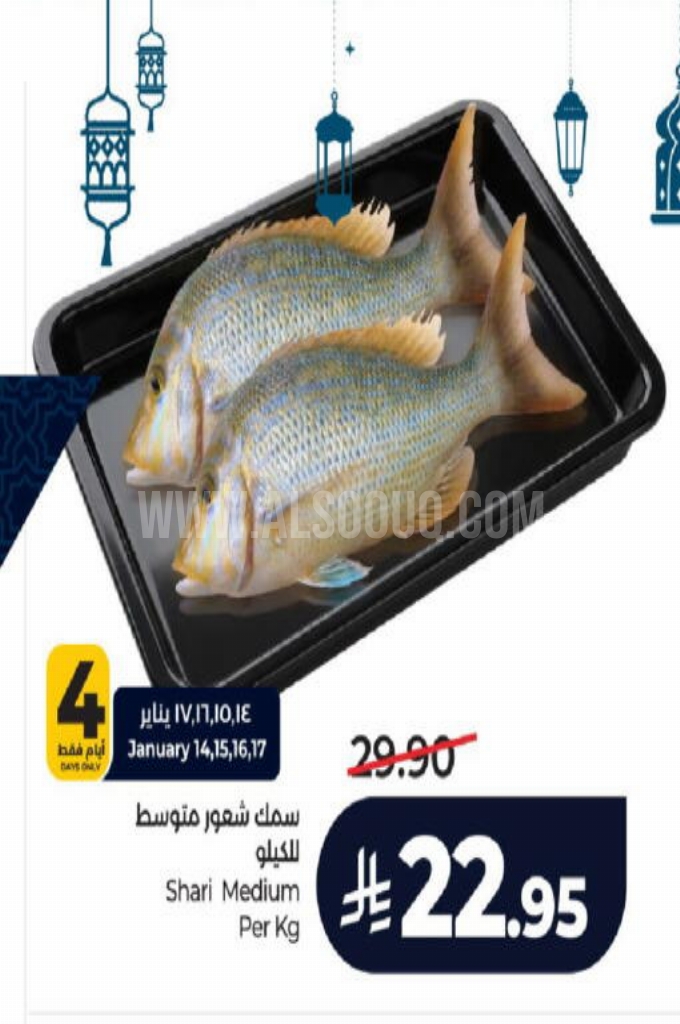 عروض الأسماك