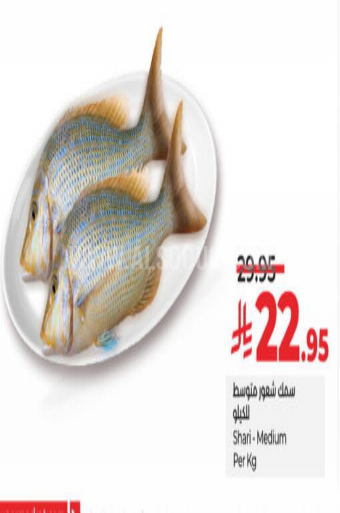 عروض الأسماك عروض الأسماك