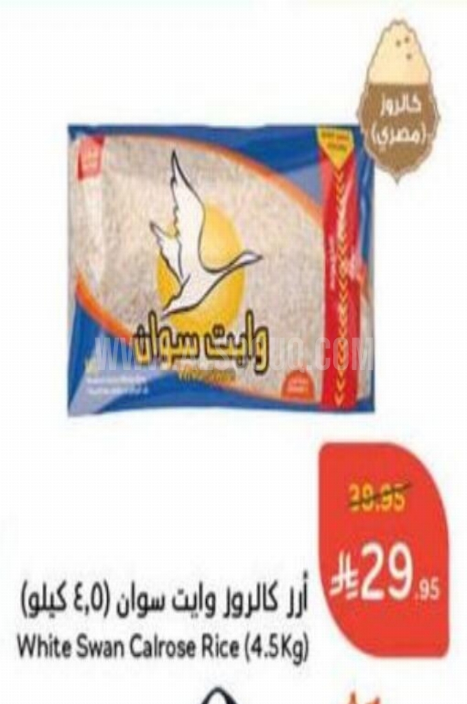 عروض الأرز عروض الأرز