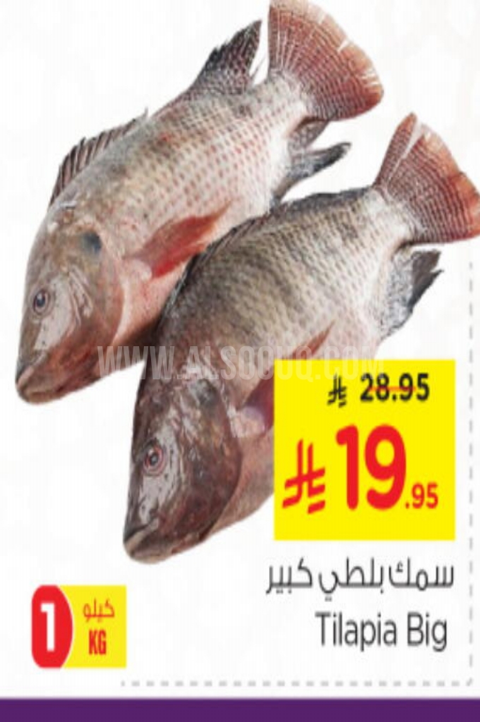 عروض الأسماك