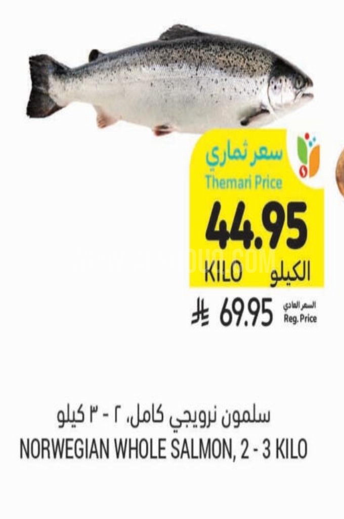 عروض الأسماك