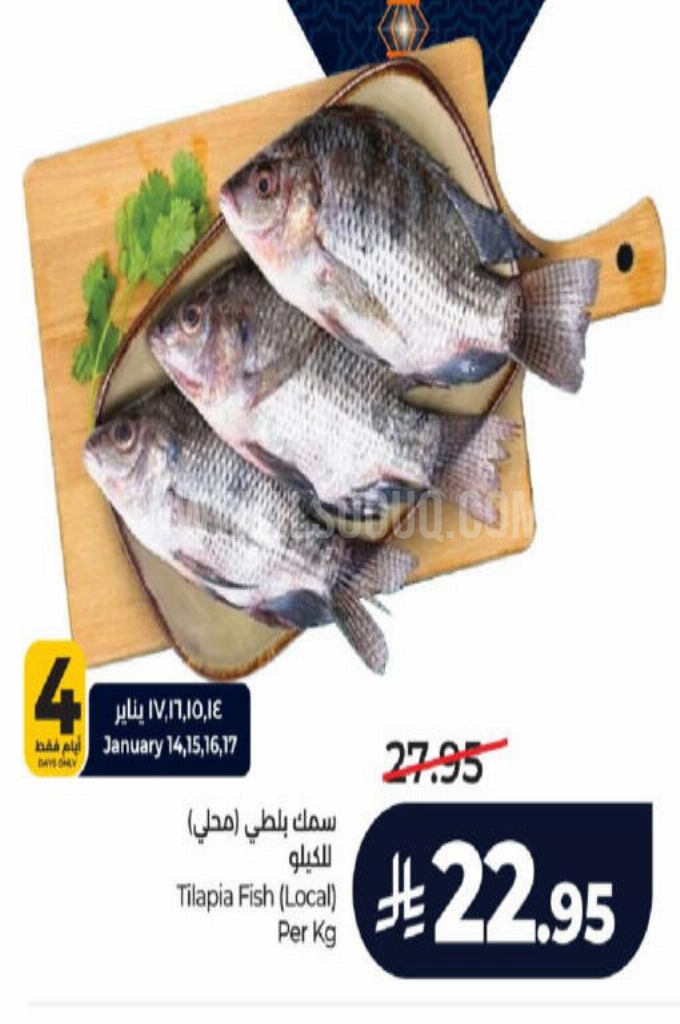 عروض الأسماك