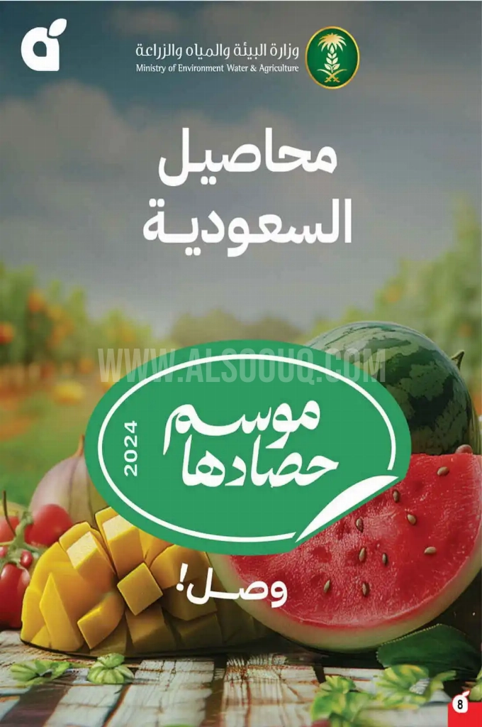عروض هايبر بنده الأسبوعية 7 مايو 2025 الموافق 9 ذو القعدة 1446 وفّر حتى نصف السعر 9 6367e8609ff30e28d8be