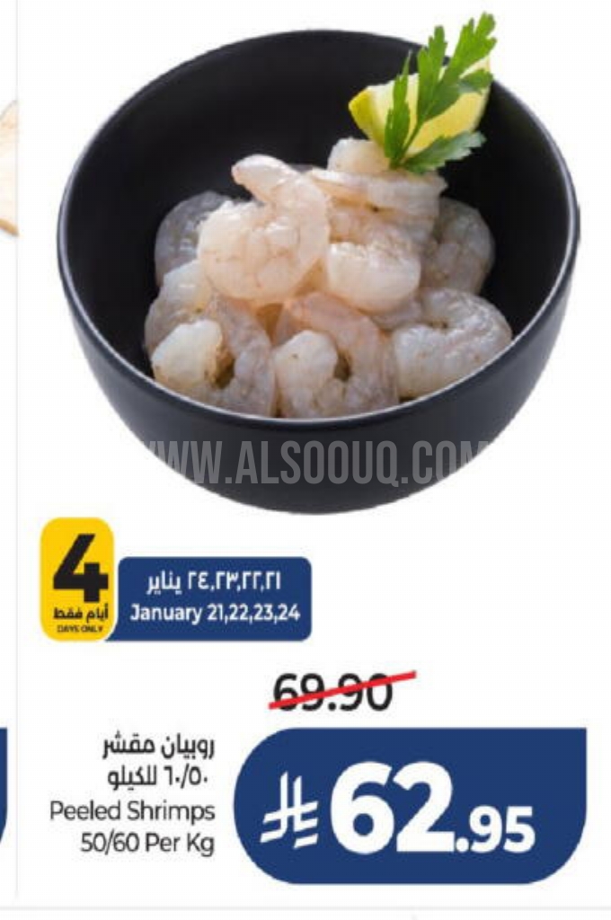 عروض الأسماك