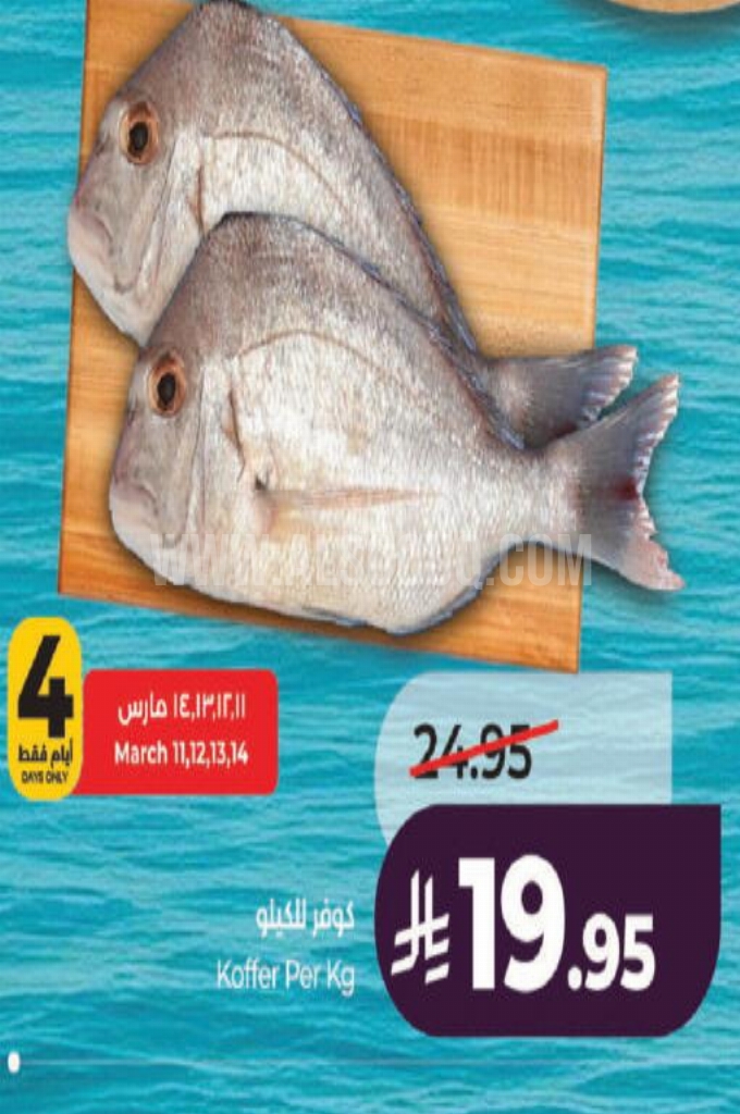 عروض الأسماك