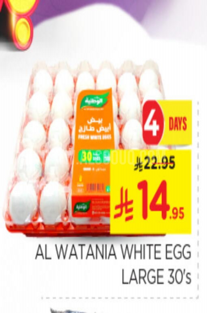 عروض البيض عروض البيض